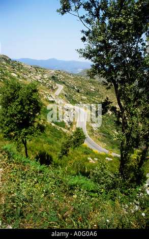 Blick auf die Landschaft rund um Kloster von Sant Pere de Rodes Stockfoto