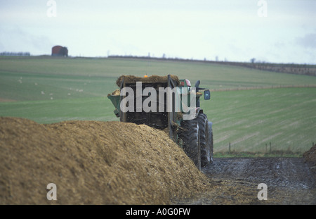 Reihen von Kompost aus Abfall Pferd stabil Bettwäsche Gartenabfälle und verwendet Kaffeesatz im Sheepdrove Bio Bauernhof Berkshire Englan Stockfoto