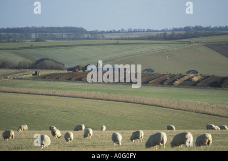 Reihen von Kompost aus Abfall Pferd stabil Bettwäsche Gartenabfälle und verwendet Kaffeesatz im Sheepdrove Bio Bauernhof Berkshire Englan Stockfoto