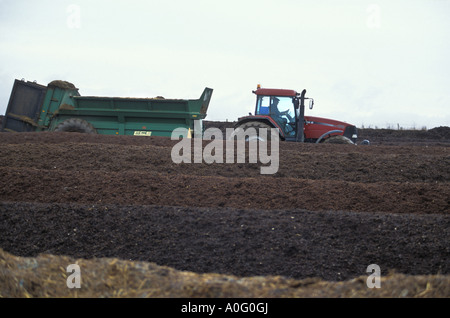 Reihen von Kompost aus Abfall Pferd stabil Bettwäsche Gartenabfälle und verwendet Kaffeesatz im Sheepdrove Bio Bauernhof Berkshire Englan Stockfoto