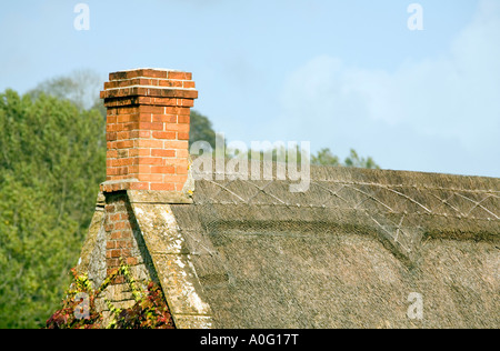 Reetdachhaus Dach Clematis wachsen auf einer Hütte-Wand im Herbst gemauerten Schornstein strohgedeckten Dach Thatch West Chinnock Stockfoto