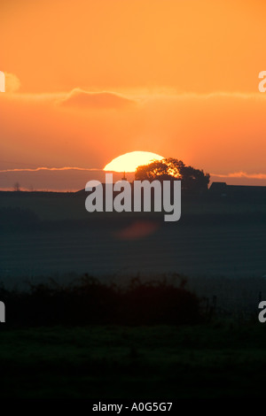 Sonnenaufgang über dem Holkham Norfolk mit schönen orangefarbenen Himmel und dunklen Vordergrund Stockfoto