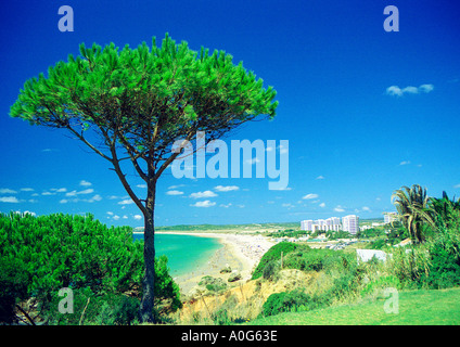 Strand von Alvor aus den Klippen in der Nähe von Prainha Strand Alvor Algarve Portugal Stockfoto