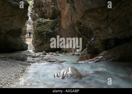 Walker auf Hängebrücke in der Mlinarica Schlucht, Trenta, Soca-Tal, Gorenjska, Slowenien. Stockfoto