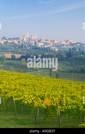 Blick über Weinberge, San Gimignano, Toskana, Italien Stockfoto
