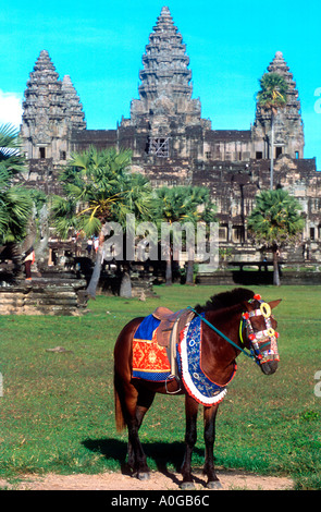 Pferd für Touristenfahrten bei Angkor Wat Siem Reap Kambodscha Stockfoto