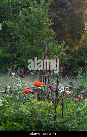 Mill Cottage Wookey Somerset UK Sally Gregson Hazel und Willow Anlagenbetreuung in informellen Perenial Grenze Stockfoto