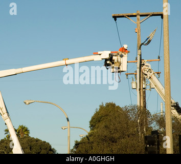 Draht-Arbeiter Stockfoto