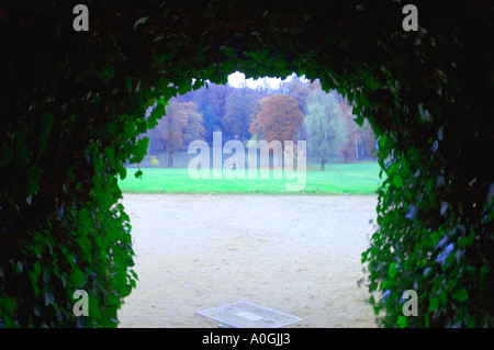 , ANDSCAPE, OPENSPACE, PARK. horizontal, Nahaufnahme, Kopf, Blütenblatt, Blütenblätter, Natur, Natur, Blume, Stockfoto