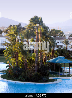 Hinterleuchtete Palm Bäume Pool Berge und Himmel Mijas Costa del Sol Spain Swimming Pool Pavillon Pavillons am späten Abend Dämmerung Einbruch der Dunkelheit Stockfoto