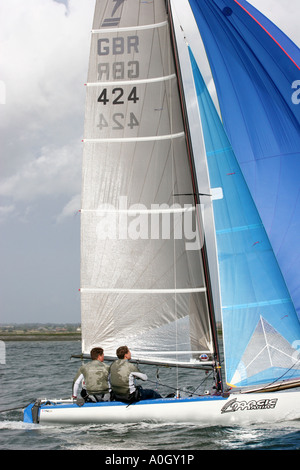 Raubkatze Segelnummer GBR424 Stockfoto