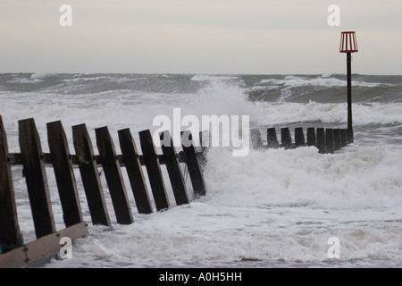 Holz-Buhnen Dawlish Warren Devon UK Stockfoto