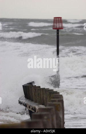 Holz-Buhnen Dawlish Warren Devon UK Stockfoto