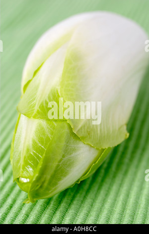 Chicorée auf grünem Leinen Stockfoto