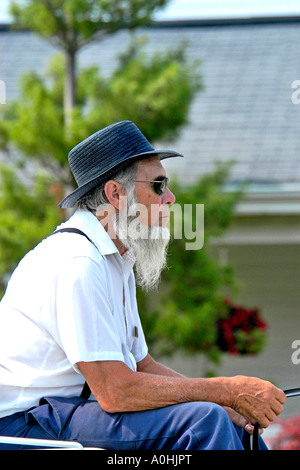 Amische Mann mit Sonnenbrille in ein Pferd und Buggy in Shipshewana Indiana. Stockfoto