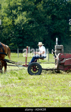 Mennonite Männer mit semi-mechanisierte landwirtschaftliche Geräte, ihre Ernte auf ihrer Farm in Indiana zu ernten Stockfoto