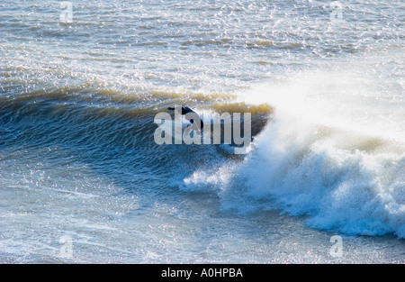 Surfen-Winter-Wellen-Herbst Bay Gower-Halbinsel Stockfoto