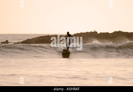 Surfen bei Sonnenuntergang Langland Bucht an der Gower Küste Stockfoto