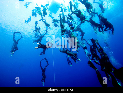 Rund hundert freie Taucher Dcecnd alle zusammen, um 30 Meter Sharm el Sheikh Ägypten Nov 2006 Foto von Adam Butler Stockfoto