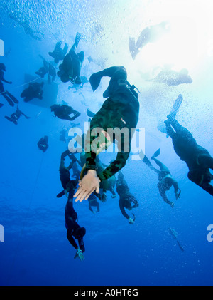 Rund hundert freie Taucher Dcecnd alle zusammen, um 30 Meter Sharm el Sheikh Ägypten Nov 2006 Foto von Adam Butler Stockfoto