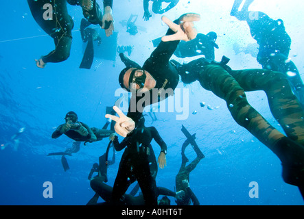 Rund hundert freie Taucher Dcecnd alle zusammen, um 30 Meter Sharm el Sheikh Ägypten Nov 2006 Foto von Adam Butler Stockfoto