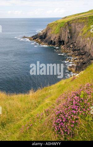 Dunguin an der Westküste von Irland Stockfoto