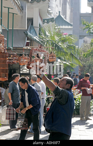 China Hong Kong Mo KoK Vogel Markt Yuen Po Street chinesische Männer mit ihren Vogelkäfig Stockfoto