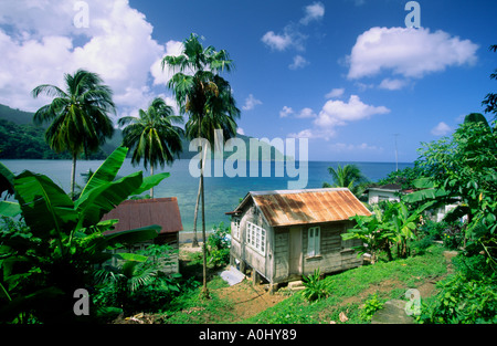Tobago Charlotteville Mann des Krieges Bucht kleine Hütte Stockfoto