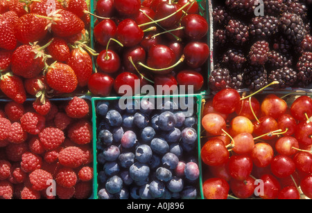 Erdbeeren, Kirschen, Brombeeren, Himbeeren und Heidelbeeren in Körben auf Stand Willamette Valley Oregon produzieren Usa Stockfoto