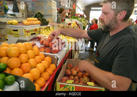 Cleveland Ohio, Westside Market, Marktplatz, Produkte, Obst, Gemüse, Gemüse, Lebensmittel, Produkte, Pfirsiche, Sortieren, Orangen, Erwachsene Erwachsene Männer Männer, Besucher Stockfoto