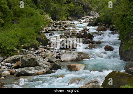 Waldbach, Horizontal gedreht, Uttaranchal, Indien Stockfoto