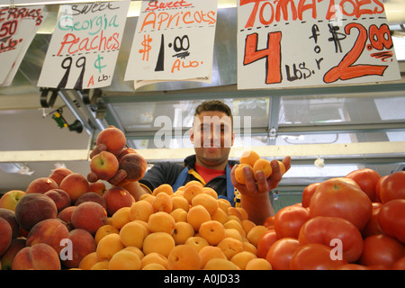 Cleveland Ohio, Westside Market, Marktplatz, Obst, Gemüse, Gemüse, Lebensmittel, Pfirsiche, Aprikosen, Tomaten, Tomaten, Verkäufer Stände Boot Stockfoto