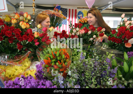 Cleveland Ohio, Westside Market, Marktplatz, Produkte, Obst, Gemüse, Gemüse, Lebensmittel, Blumen, Blumen, lächelnde Frauen, Frauen, OH0612040007 Stockfoto