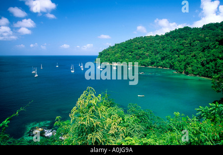 Tobago Charlotteville Pirat s Bucht-Segelboote Stockfoto