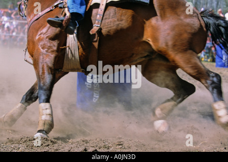 Barrel Racing 1 Stockfoto