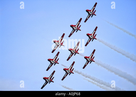 Snowbirds 1 Stockfoto