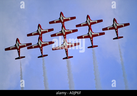 Snowbirds 3 Stockfoto