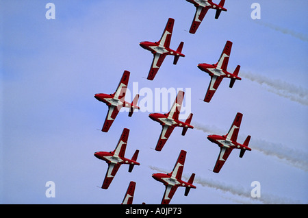 Snowbirds 4 Stockfoto