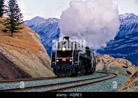 Dampfzug in den Rocky Mountains Stockfoto