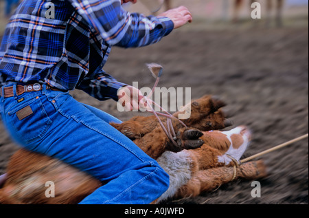 Binden Sie Abseilen Stockfoto