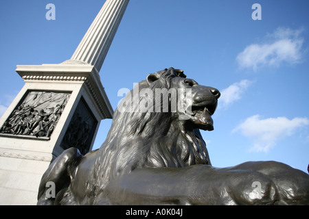 Nelsons Säule und Löwenstatue am Trafalgar Square Stockfoto