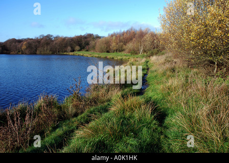 Powells Pool im Herbst, Sutton Park, Sutton Coldfield, West Midlands, England, UK Stockfoto