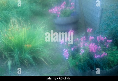 Atmosphärische Ecke einer Stadt oder Land Hütte Garten mit Sommerblumen in Holzwannen und dem Boden neben einem Holzzaun Stockfoto