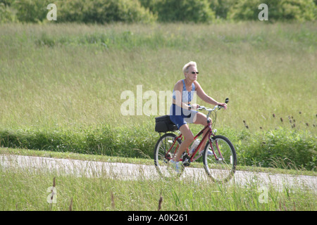 Ohio Maumee Bay Water State Park, öffentliches Land, Erholung, Fahrrad, Radfahren, Reiten, Radfahren, Fahrer, Radweg, aktiv, Senioren alte Bürger pe Stockfoto