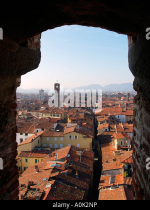 Blick über Lucca Dächer vom Torre Guinigi Turm Lucca Toskana Italien vertikale Stockfoto