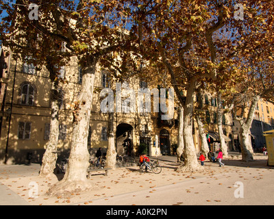 Piazza Napoleone in Lucca Toskana Italien Napoleons Schwester regierte über Lucca von 1805 bis 1815 Stockfoto