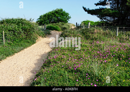 Whiteford Burrows, Gower, Wales Stockfoto