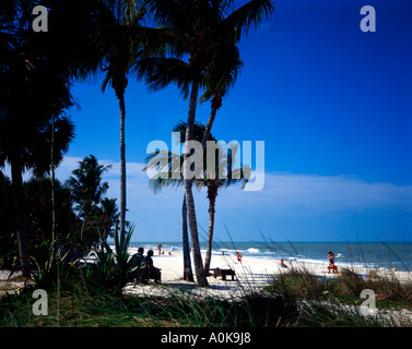 Florida-Strand-Szene mit Palmen säumen den Sand in Neapel Stockfoto