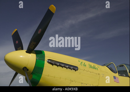 Seitenansicht des gelben Nase und Propeller von Ole Yeller, p-51 Mustang Jagdflugzeug Stockfoto