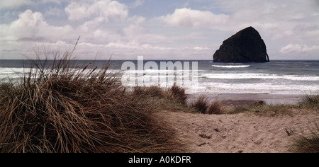 Wellen Waschen an Land in der Nähe von Haystack Rock in Pacific City in Oregon Stockfoto